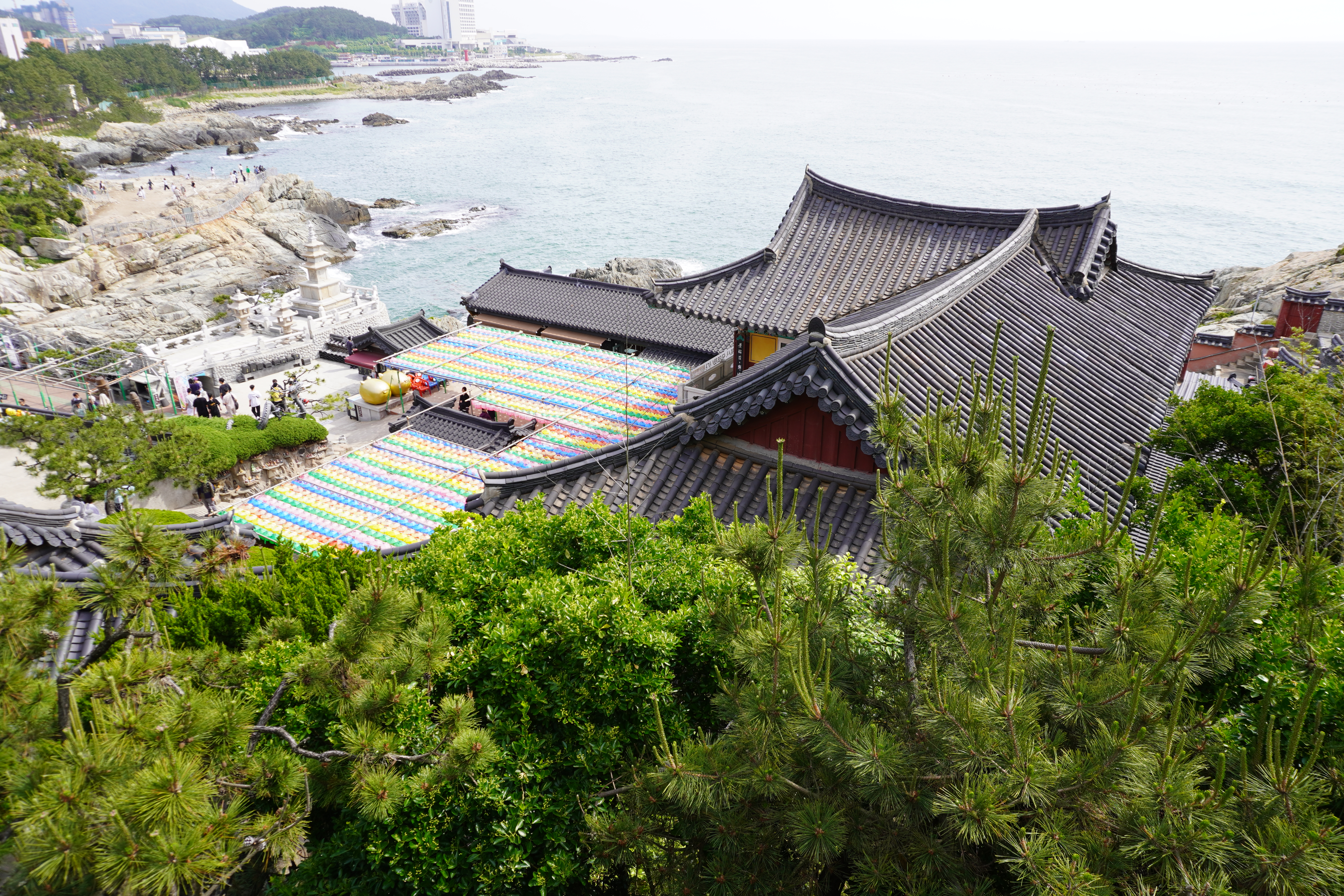 Photography by Lachlan Allison