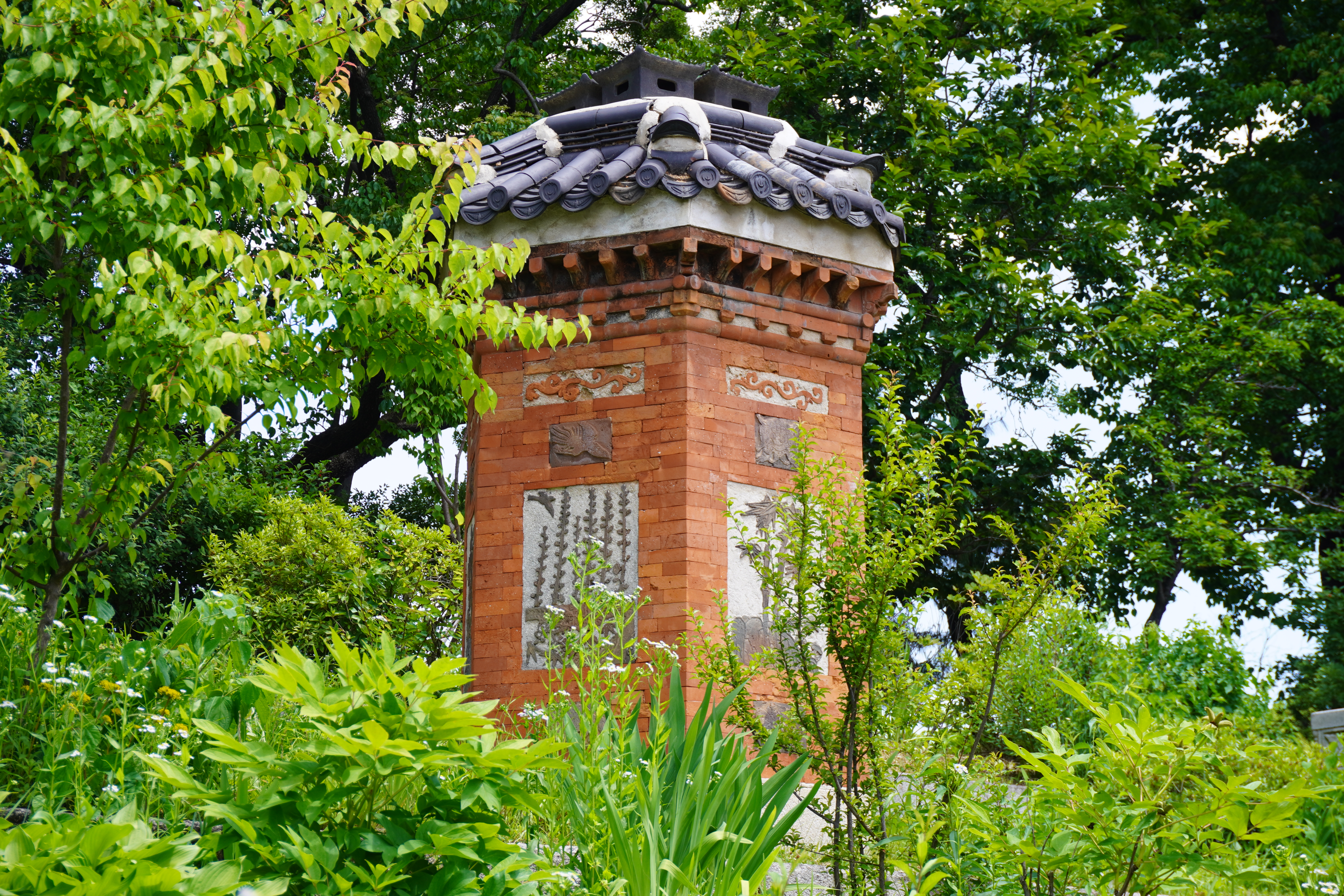 Photography by Lachlan Allison